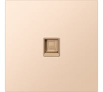 Розетка компьютерная SMARTBUY RJ-45 независимая 10А шампань акрил Альтаир SBE-i11ia-S1-RJ