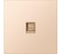 Розетка компьютерная SMARTBUY RJ-45 независимая 10А шампань акрил Альтаир SBE-i11ia-S1-RJ 1