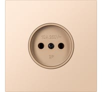 Розетка одноместная SMARTBUY без заземления независимая 10А шампань акрил Альтаир SBE-i11ia-10-S1-N