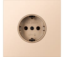 Розетка одноместная SMARTBUY с заземлением независимая 16А шампань акрил Альтаир SBE-i11ia-16-S1-Z