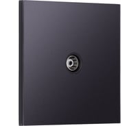 Розетка телевизионная SMARTBUY 1-местная 75Ом 5-862МГц независимая 10А черная акрил Альтаир SBE-i11ba-S1-TV