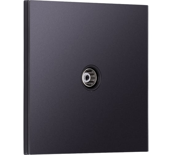 Розетка телевизионная SMARTBUY 1-местная 75Ом 5-862МГц независимая 10А черная акрил Альтаир SBE-i11ba-S1-TV 1