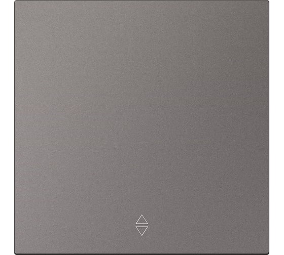 Выключатель проходной 1-клавишный SMARTBUY независимый 10А графит Альтаир SBE-i11g-10-SW12-0 1