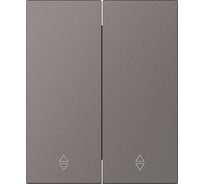 Выключатель проходной 2-клавишный SMARTBUY модульный 10А графит Альтаир SBE-m11g-10-SW22-0