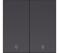 Выключатель проходной 2-клавишный SMARTBUY независимый 10А черный Альтаир SBE-i11b-10-SW22-0