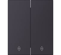 Выключатель проходной 2-клавишный SMARTBUY модульный 10А черный акрил Альтаир SBE-m11ba-10-SW22-0