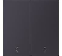 Выключатель проходной 2-клавишный SMARTBUY независимый 10А черный акрил Альтаир SBE-i11ba-10-SW22-0