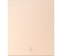 Выключатель проходной 1-клавишный SMARTBUY модульный 10А шампань акрил Альтаир SBE-m11ia-10-SW12-0
