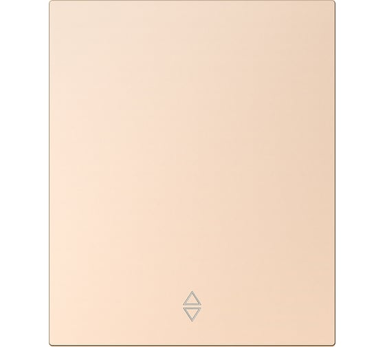 Выключатель проходной 1-клавишный SMARTBUY модульный 10А шампань акрил Альтаир SBE-m11ia-10-SW12-0 1