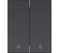 Выключатель проходной 2-клавишный SMARTBUY модульный 10А черный Альтаир SBE-m11b-10-SW22-0