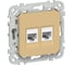 Розетка 2-я компьютерная IEK FLITE RJ45 кат.5Е UTP РК5е-2-0-ФлШм шамуа FI-K22-1-K89 1