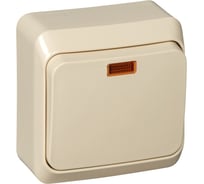 Переключатель Systeme Electric (Schneider Electric) Этюд 1-клавишный, ОП, 10А, с индикатором, кремовый SchE BA10-007K