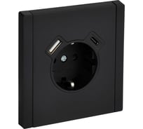 Розетка IEK FORTE&PIANO с заземление, с защитными шторками, винтовое крепление, 16А USB A+C 18Вт FP147M черный FP-R14-16-U22-018-M-K02