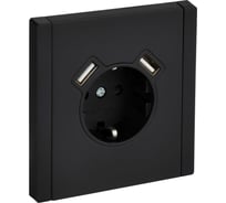 Розетка IEK FORTE&PIANO с заземление, с защитными шторками, винтовое крепление, 16А USB A+A 3,1А FP145M черный FP-R14-16-U21-D31-M-K02