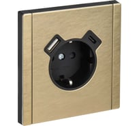 Розетка IEK FORTE&PIANO с заземление, с защитными шторками, винтовое крепление, 16А USB A+C 18Вт FP647M шампань FP-R14-16-U22-018-M-K37