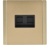 Розетка двойная IEK FORTE&PIANO RJ11+RJ45 кат.5E FP635M шампань FP-KT20-O-1-M-K37