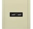 Розетка USB IEK FORTE&PIANO A+A 3,1А FP849M слоновая кость FP-U21-D31-M-K41 2