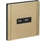 Розетка USB IEK FORTE&PIANO A+A 3,1А FP649M шампань FP-U21-D31-M-K37 1