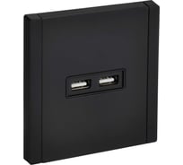 Розетка USB IEK FORTE&PIANO A+A 3,1А FP149M черный FP-U21-D31-M-K02