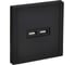 Розетка USB IEK FORTE&PIANO A+A 3,1А FP149M черный FP-U21-D31-M-K02 1
