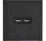 Розетка USB IEK FORTE&PIANO A+A 3,1А FP149M черный FP-U21-D31-M-K02 2