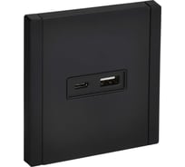 Розетка USB IEK FORTE&PIANO A+C 18Вт FP151M черный FP-U22-018-M-K02