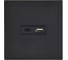 Розетка USB IEK FORTE&PIANO A+C 18Вт FP151M черный FP-U22-018-M-K02 2