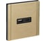 Розетка USB IEK FORTE&PIANO A+C 3,1А FP650M шампань FP-U22-D31-M-K37 1