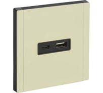 Розетка USB IEK FORTE&PIANO A+C 18Вт FP851M слоновая кость FP-U22-018-M-K41