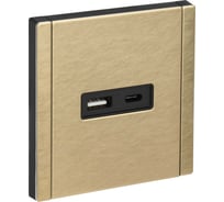 Розетка USB IEK FORTE&PIANO A+C 18Вт FP651M шампань FP-U22-018-M-K37