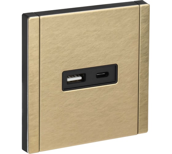 Розетка USB IEK FORTE&PIANO A+C 18Вт FP651M шампань FP-U22-018-M-K37 1