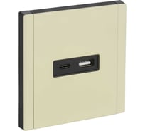 Розетка USB IEK FORTE&PIANO A+C 3,1А FP850M слоновая кость FP-U22-D31-M-K41