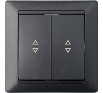 2-клавишный проходной выключатель Bylectrica скрытой установки, серия СТИЛЬ, графит, С6+6 10-847 графит