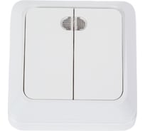 2-клавишный выключатель TANGO с подсветкой, белый открытой проводки 10А, 250В 1007258