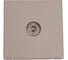 TV-коннектор Systeme Electric ARTGALLERY механизм, шампань GAL000593 2