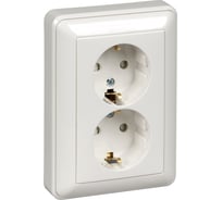 2-ая розетка Systeme Electric Wes n 59 Матовый хром, с/з с защитными шторками SE RS16-255-58