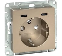 Механизм розетки EKF с USB-C - 2шт, 16А, с заземлением, со шторками, шампань, Эпика UP1-SOC-111-2USBC