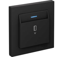 Выключатель карточный с подсветкой Systeme Electric AtlasDesign, 10 А, без задержки отключения, механизм, карбон ATN001014