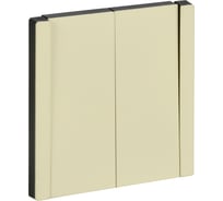 Выключатель 2-клавишный IEK FORTE&PIANO 10А FP805M сланец FP-V20-0-10-1-M-K41