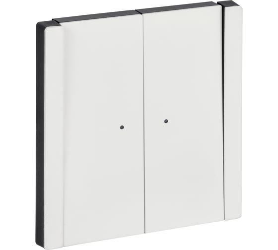 Выключатель 2-клавишный IEK FORTE&PIANO с индикацией 10А FP206M белый FP-V20-1-10-1-M-K01