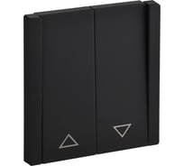 Выключатель жалюзи IEK FORTE&PIANO 10А FP111M черный FP-V15-0-10-1-M-K02