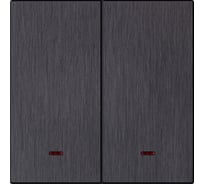 Выключатель 2-клавишный SMARTBUY с индикатором независимый 10А алюминий черный Альтаир ( SBE-i11alb-10-SW2-1