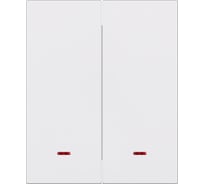 Выключатель 2-клавишный SMARTBUY с индикатором модульный 10А белый Альтаир () SBE-m11w-10-SW2-1