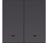 Выключатель 2-клавишный SMARTBUY Альтаир с индикатором, независимый, 10А, черный SBE-i11b-10-SW2-1