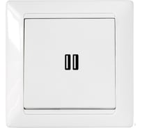 2-местная USB розетка Bylectrica серия СТИЛЬ, белый, РП5-423