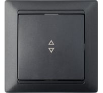 1-клавишный проходной выключатель Bylectrica скрытой установки, серия СТИЛЬ, графит, С610-807 графит
