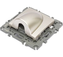 Вывод кабеля ЭРА Elegance 14600304 шампань Б0051068