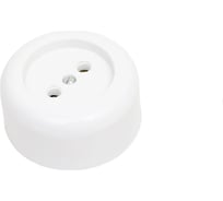 Розетка ООО Ливны-Электро РА 10-007 круглая, белая в количестве 200 шт. РА 1714.1