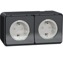 Блок из двух розеток Systeme Electric Mureva Styl наружный Антрацит с/з и шторками IP55 MUR36029