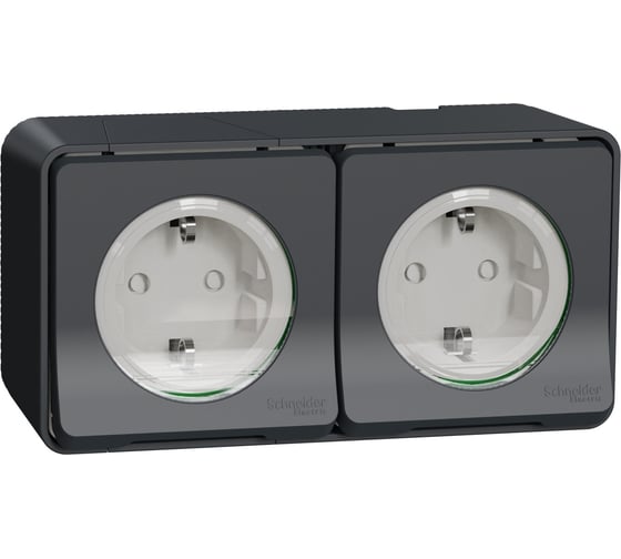 Блок из двух розеток Systeme Electric Mureva Styl наружный Антрацит с/з и шторками IP55 MUR36029